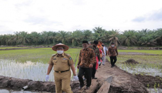Bupati Sukiman  Apresiasi Pemdes Sukadamai Program Cetak Sawah  Baru 